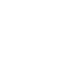 border white 1